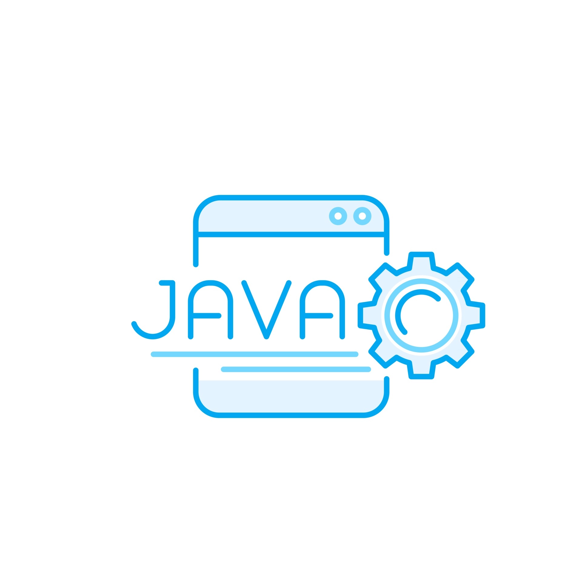 java-belt